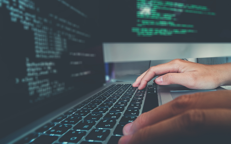 Website development & design